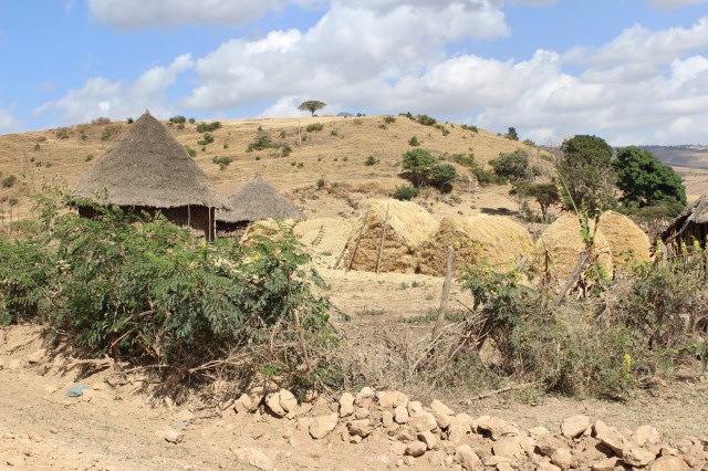 tukels and haystacks2 better